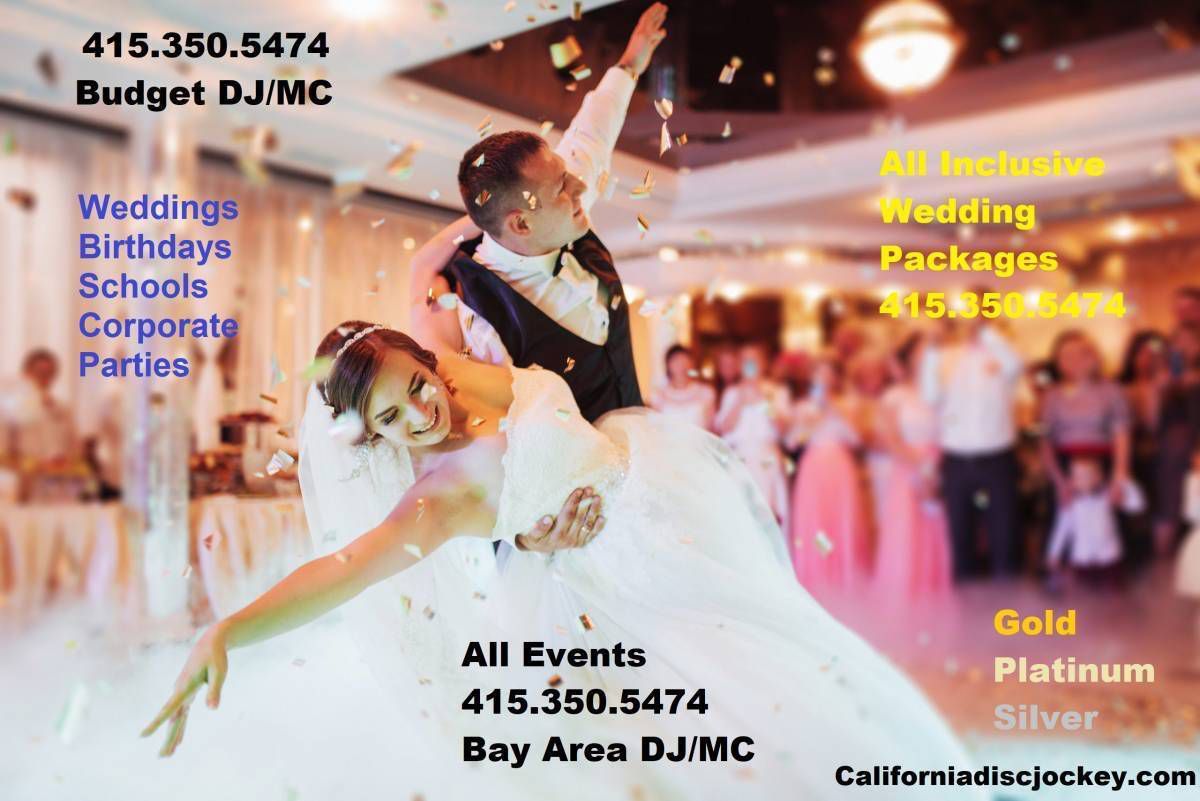 Santa Cruz DJ performing at a wedding reception